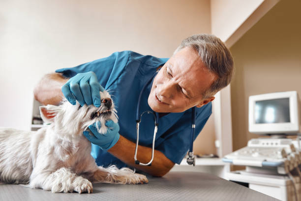 Best Emergency Tooth Extraction in Beaver Dam, WI