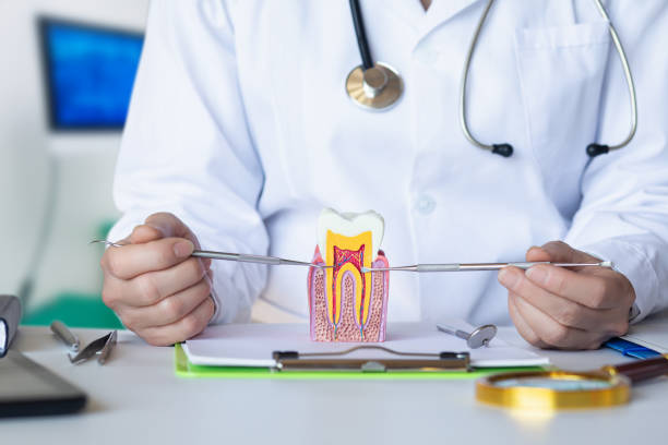 Best Emergency Root Canal Treatment in Beaver Dam, WI